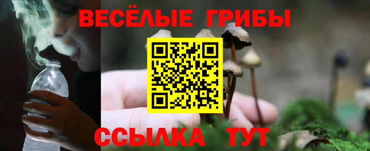 Галлюциногенные грибы мухоморы Заводоуковск